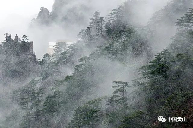 “皇道迷雾中江山现”