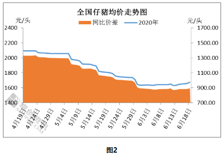 最新仔猪价格行情