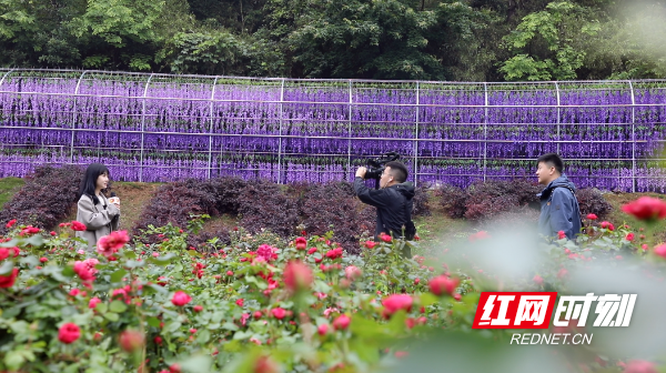 “湖南植物园最新资讯”