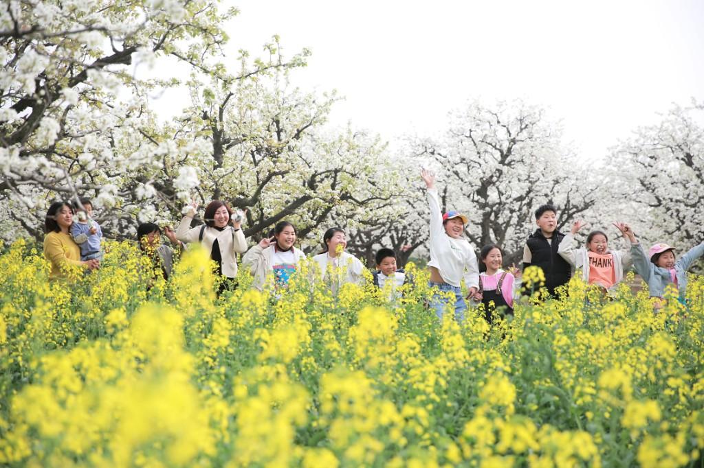 新生活启航：原阳黄河滩区搬迁喜讯传来