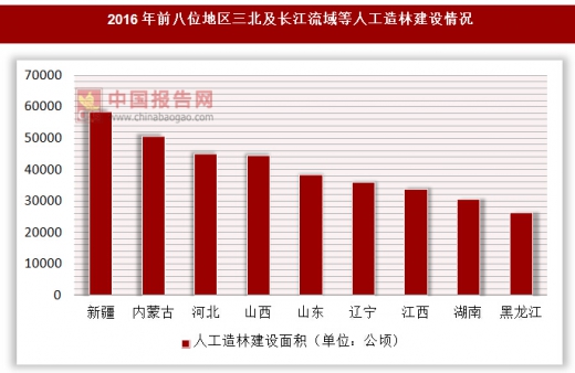 长江流域造林局最新资讯速递：绿化进展与动态全解析