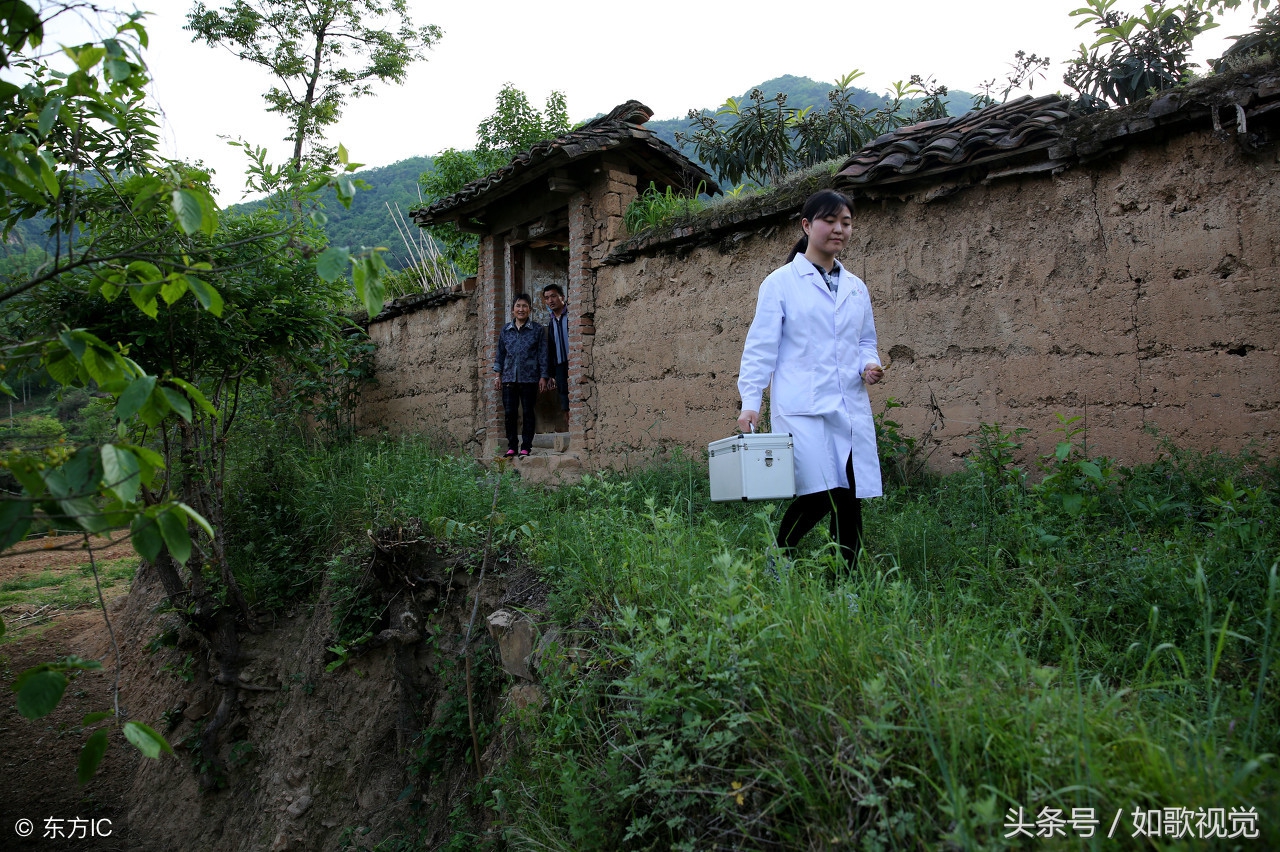 隐秘山谷里的乡村医生：免费畅读，解锁山村医术传奇